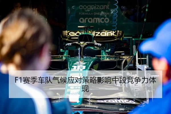 F1赛季车队气候应对策略影响中段竞争力体现